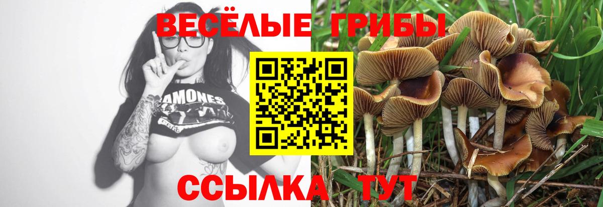 Галлюциногенные грибы MAGIC MUSHROOMS  Галлюциногенные грибы Psilocybine cubensis  Донецк  Вход с VPN 